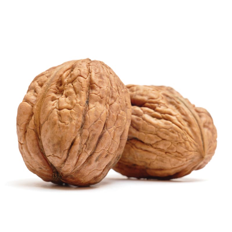 Fun Facts about Nuts